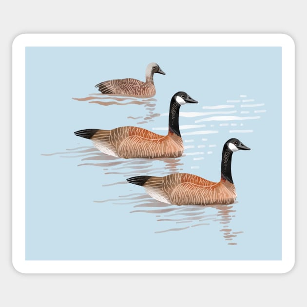 Canada Geese Sticker by Rebelform